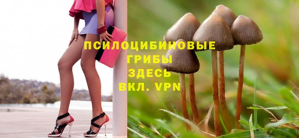 герыч Ветлуга