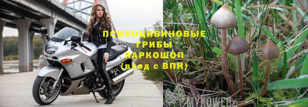 героин Алзамай