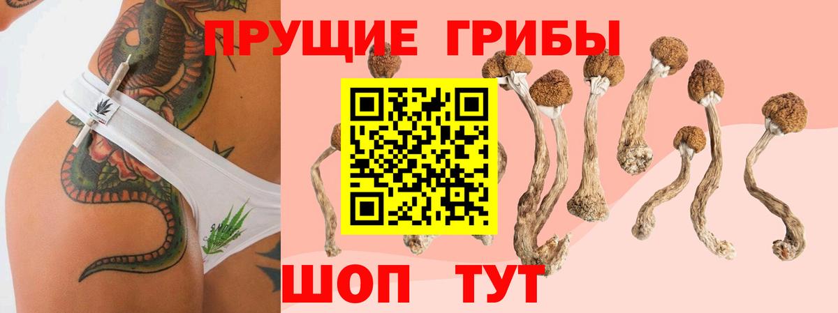 Псилоцибиновые грибы ЛСД  Галлюциногенные грибы Psilocybe  Тосно  Вход с VPN 