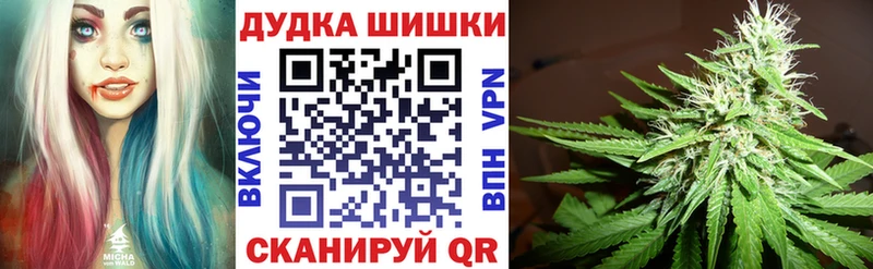купить наркоту  Тосно  Бошки марихуана сатива 